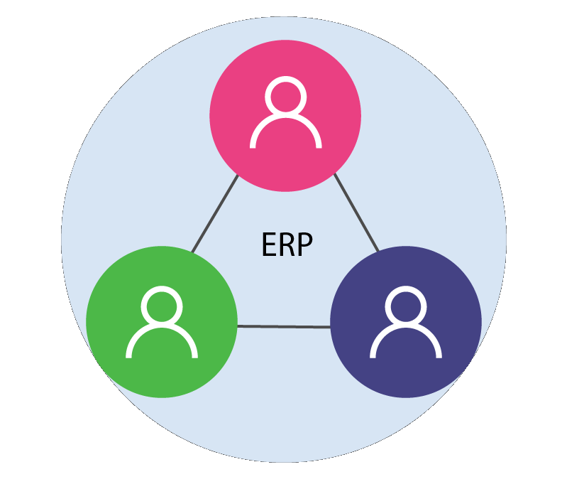 Enterprise Resource Planning